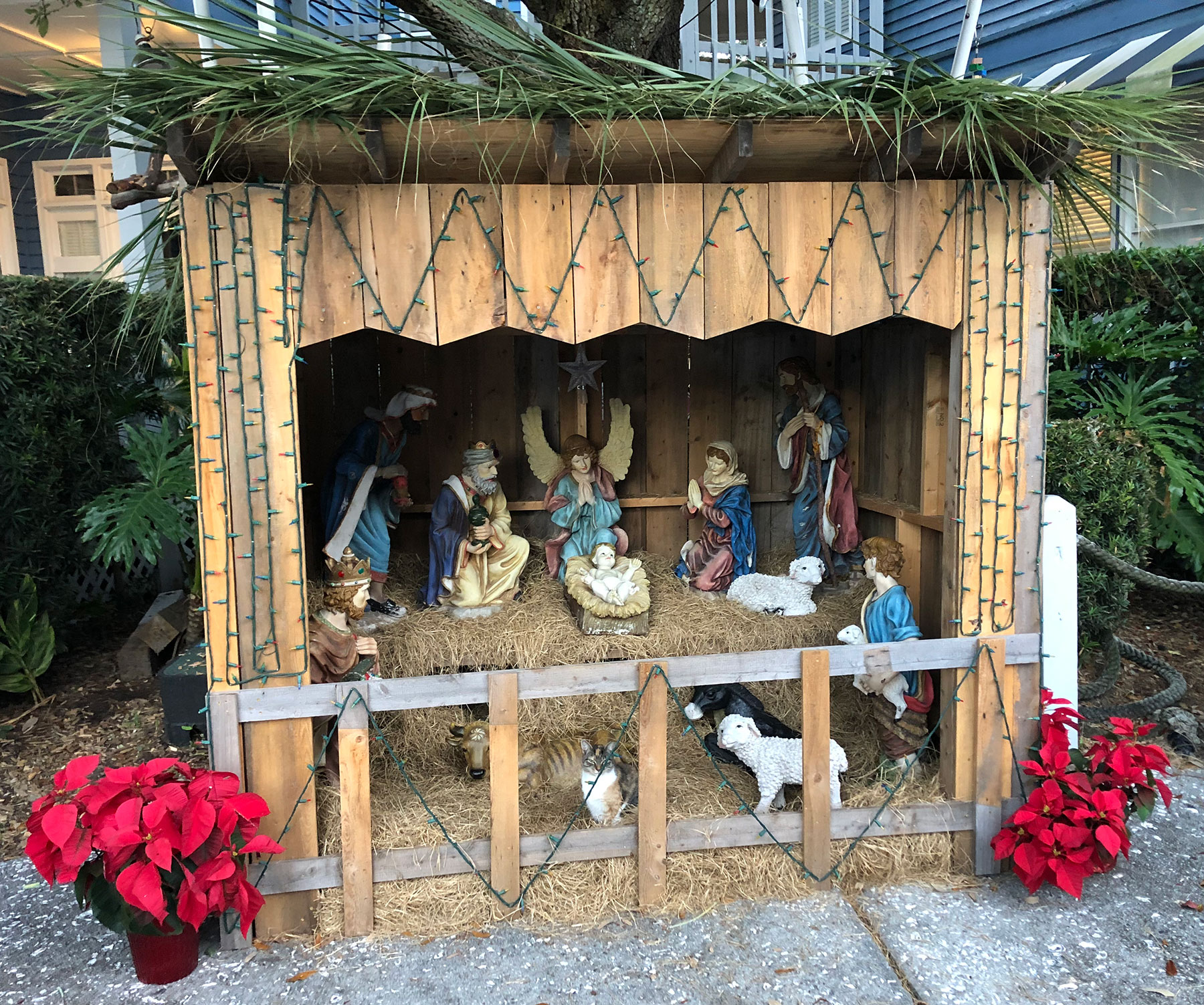 Salty Dog Nativity Scene