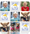 Contact Jake the Salty Dog